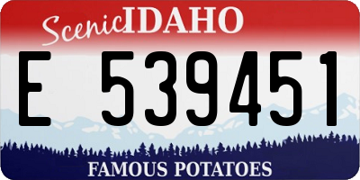ID license plate E539451