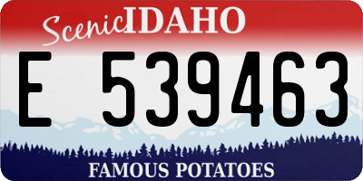 ID license plate E539463