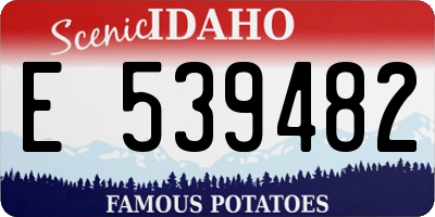 ID license plate E539482