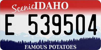ID license plate E539504