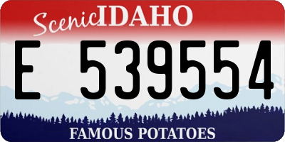 ID license plate E539554