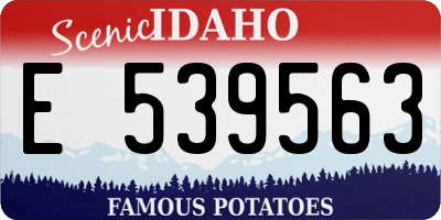 ID license plate E539563