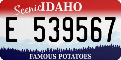 ID license plate E539567
