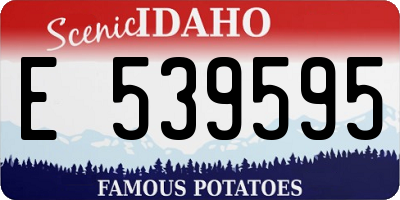 ID license plate E539595