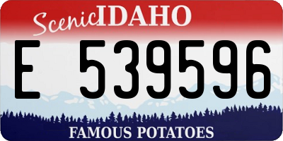 ID license plate E539596