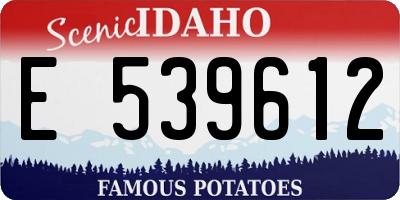 ID license plate E539612