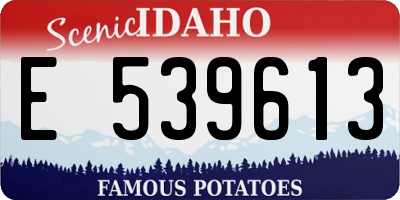ID license plate E539613