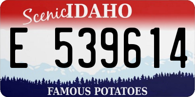 ID license plate E539614