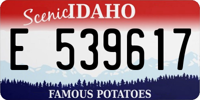 ID license plate E539617