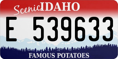 ID license plate E539633