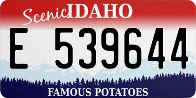 ID license plate E539644