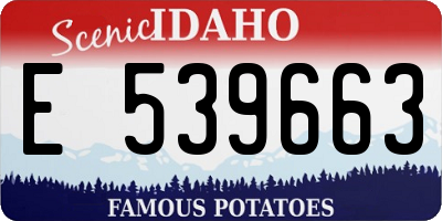 ID license plate E539663