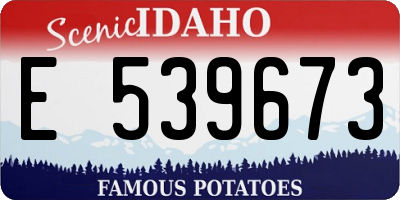 ID license plate E539673