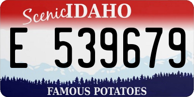 ID license plate E539679