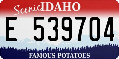 ID license plate E539704