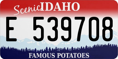 ID license plate E539708