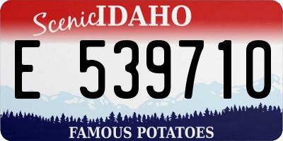 ID license plate E539710