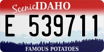 ID license plate E539711