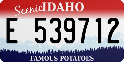 ID license plate E539712