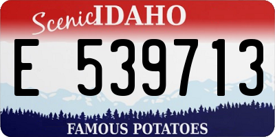 ID license plate E539713