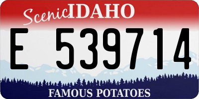 ID license plate E539714