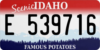 ID license plate E539716