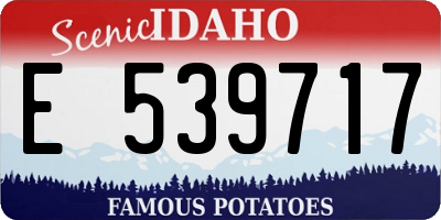 ID license plate E539717