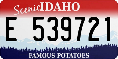 ID license plate E539721