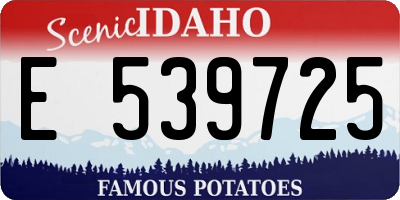 ID license plate E539725