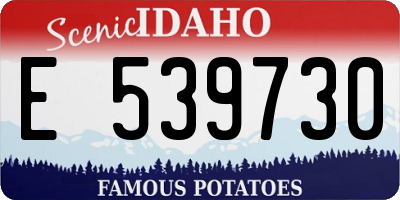 ID license plate E539730