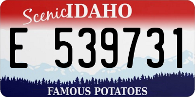 ID license plate E539731