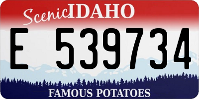 ID license plate E539734