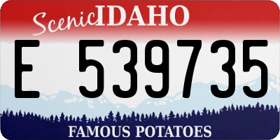 ID license plate E539735