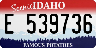 ID license plate E539736