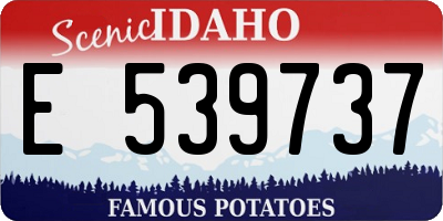 ID license plate E539737