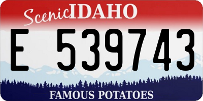 ID license plate E539743