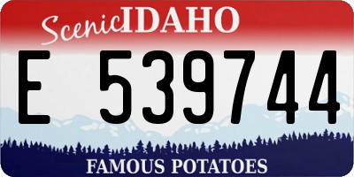 ID license plate E539744