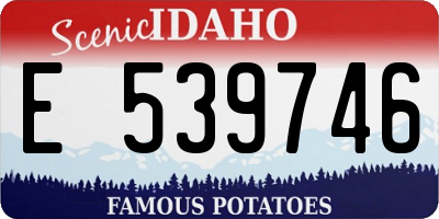 ID license plate E539746