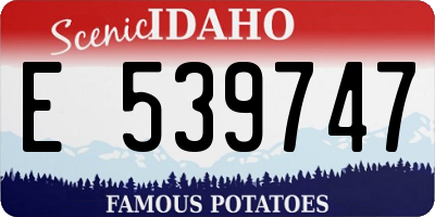 ID license plate E539747