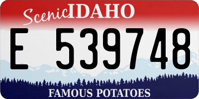 ID license plate E539748