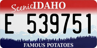 ID license plate E539751