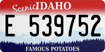 ID license plate E539752