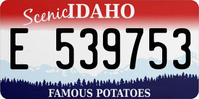 ID license plate E539753