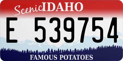 ID license plate E539754
