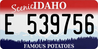 ID license plate E539756