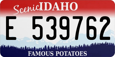 ID license plate E539762