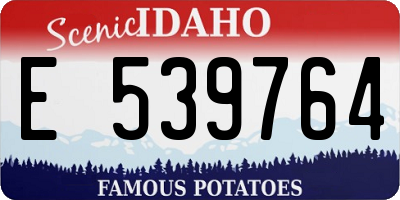 ID license plate E539764