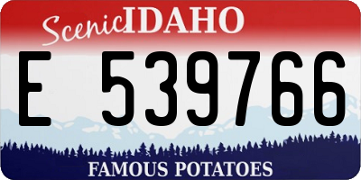 ID license plate E539766
