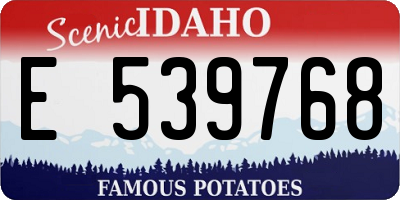 ID license plate E539768