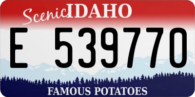 ID license plate E539770